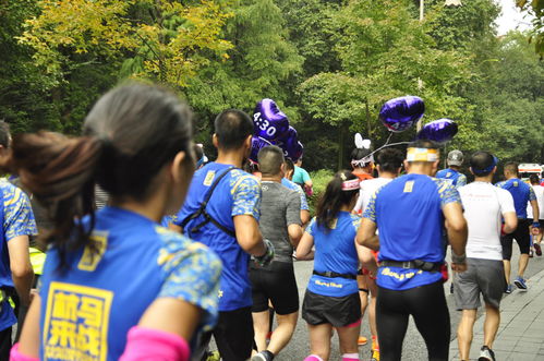 透視杭馬數據 新杭馬新發展