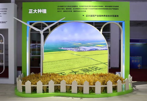 正大集團亮相首屆中國國際供應鏈促進博覽會