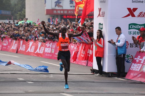 不僅是跑，跑時(shí)我在想 | 杭州國際馬拉松的哲思之旅