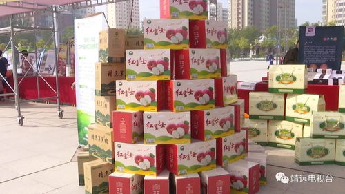 靖遠(yuǎn)縣與杭州國際馬拉松 體育盛會(huì)與地方特產(chǎn)的完美融合