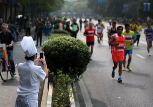銀泰2014杭州國際馬拉松賽攝影大賽入圍獎作品 part3 文章列表 - 杭州馬拉松官方網站